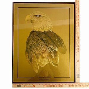 VTG American Bald Eagle Foil Art Print Dufex Metallic Gold Retro 70s 80s  Framed